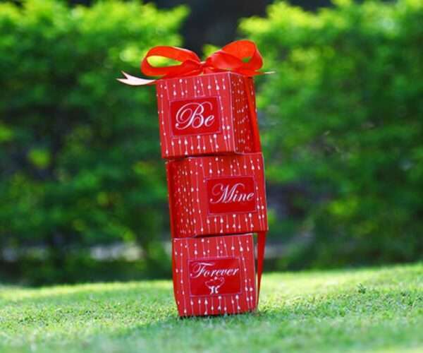 Be Mine Forever Surprise Gift