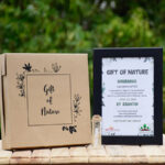 Dedicate A Tree For Mother 1