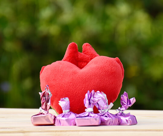 Cuddle Pillow with Chocolates