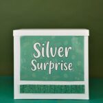 Silver Anniversary Surprise Delivery