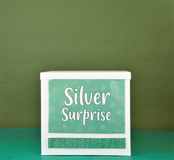Silver-Birthday-surprise