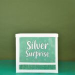 Silver birthday surprise