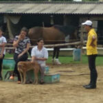 Horse Riding in Gurgaon 2