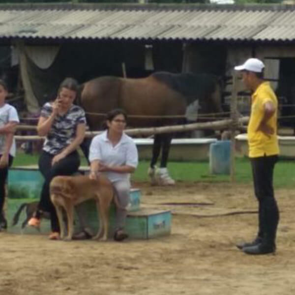 Horse Riding in Gurgaon