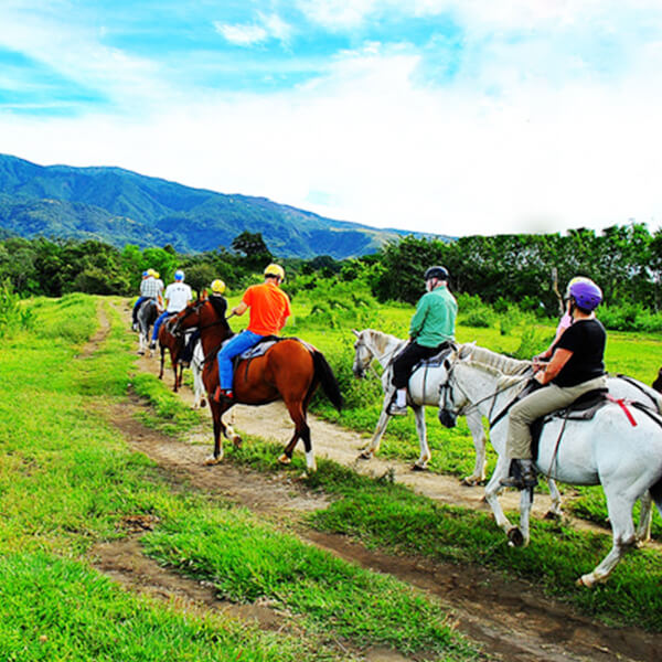 Horse back Riding Escapade