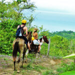 Horse back Riding Escapade 5