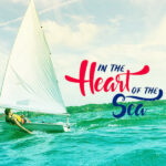 Lesiure Sailing in Arabian sea (2)
