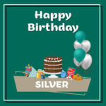 Silver Birthday Surprise