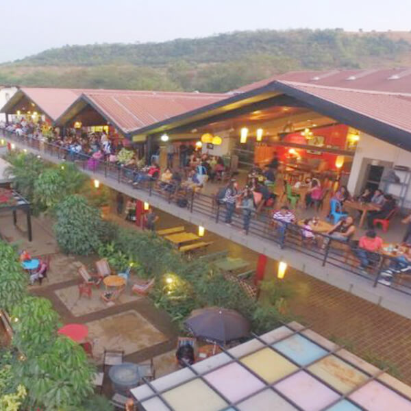 Tour along Sula Vineyards