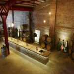 Tour along Sula Vineyards (3)