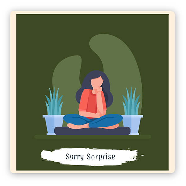 Bangalore Sorry Surprise