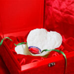 Rakhi Chocolate Gifts