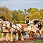 Chariot Ride Surprise